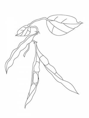 Раскраска Фасоль черно белая для девочек