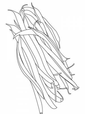 Картинка Фасоль  раскраску для мальчиков