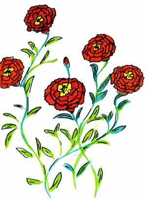 Рисунок бархатцы для детей