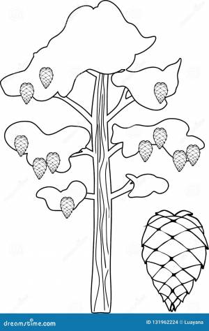 Сосна раскраска для детей