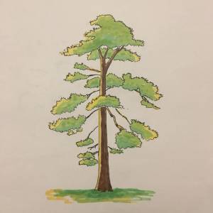 ᴷᴢ-ᴰᖇᴼᴵᴰ on Instagram