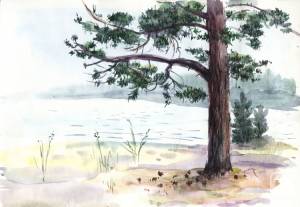 Сосна» картина Грин Ирины