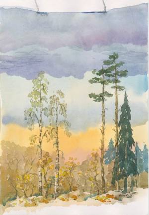 Пейзажи Подмосковья в акварелях Степана Бородулина