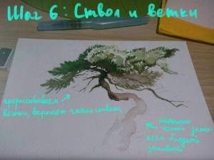 Сосна акварелью