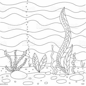 Раскраска Морское дно для детей