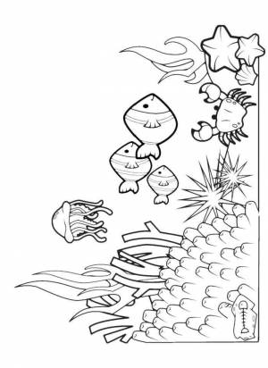 Раскраски Раскраска Дно в водорослях морское дно