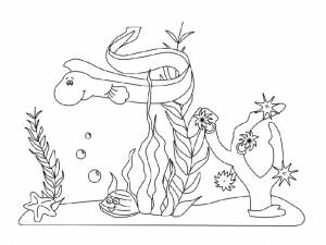 Раскраски Морское дно