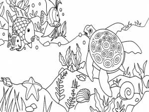 Раскраски Раскраска Морской мир морское дно детские