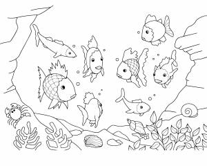 Рыбы в море