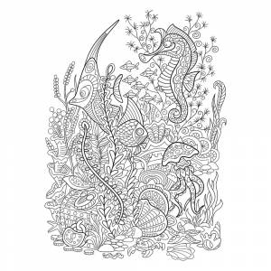 Раскраска Морское дно