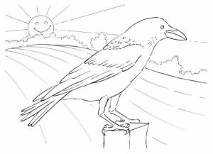 Раскраски Грач