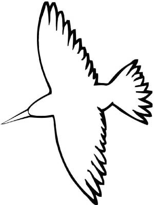 Раскраски Грач