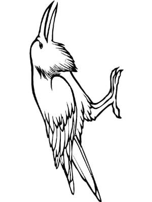 Раскраски Грач