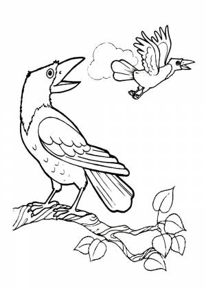 Раскраски Грачей