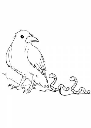 Раскраски Грачей