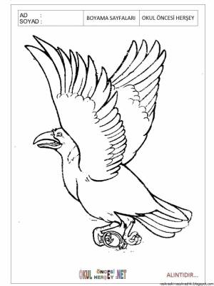 Грач раскраска для детей