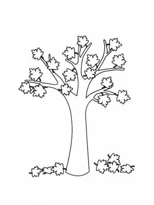 Картинка Клен черно белая онлайн