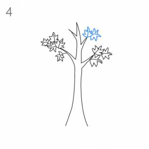 Как нарисовать клен