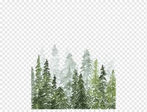 акварельные леса, лес, сосна, акварель png