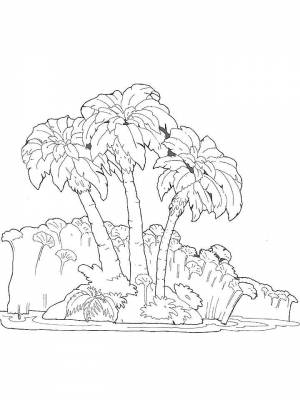 Раскраска Остров  для девочек