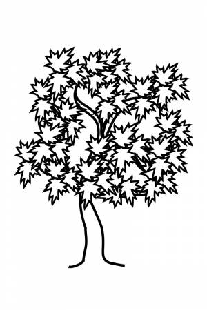 Раскраска Деревья
