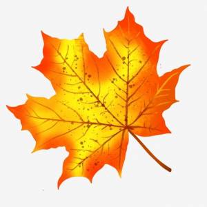 осенью и зимой кленовые листья рисованной растение просто PNG , осенью и зимой, Кленовый лист, Осенние листья PNG картинки и пнг PSD рисунок для й загрузки