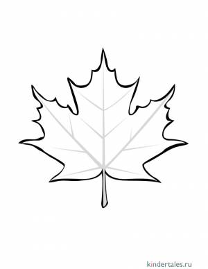 Лист дерева клен» раскраска для детей