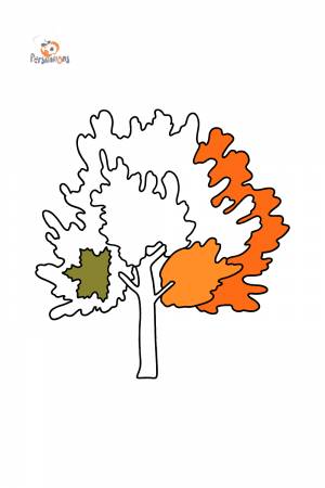 Раскраска клен ♥ Скачать, Онлайн и !