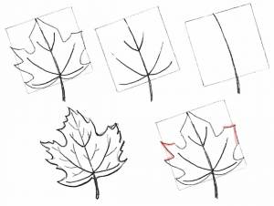 Листва клена осенью