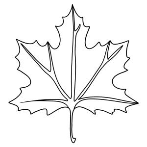 Лист кленовый раскраска