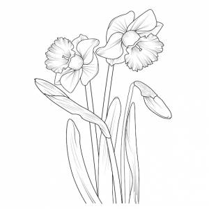 Нарцисс цветы книжка-раскраска для детей рисованной растения цветут природа выгравированы тушью
