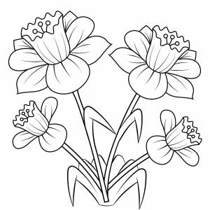 Раскраски Нарцисс цветок