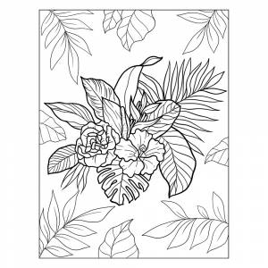 Раскраска Орхидея, стрелиция, гибискус, протея и калатея