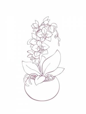 Раскраска цветок Орхидея   в формате