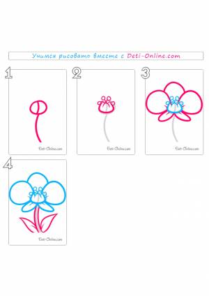 Как нарисовать орхидею