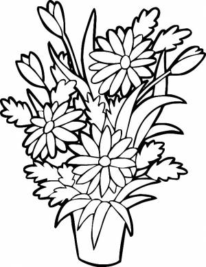 Раскраска букет цветов в горшочке