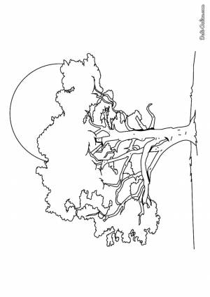 Раскраска Липа