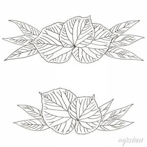 Векторный контур деревья липа лист ботанический рисованной эскиз картины на стену