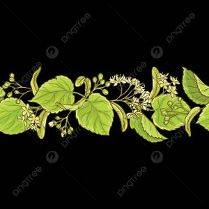 липа вектор узор лист дерево PNG , белый, шаблон, Набор PNG картинки и пнг рисунок для й загрузки