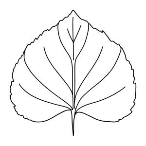Лист липы раскраска