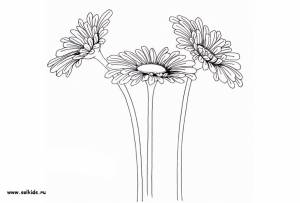 Раскраски для детей девочек и мальчиков