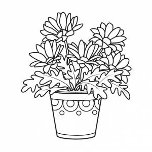 Герберы  ромашки в горшке, раскраска линейный рисунок, изолированные на белом фоне