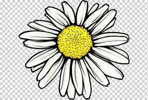 Маргарита Гербера Ромашка, Осенний Цветок, Штриховое Искусство, Полутона, Рисование, Абстрактное Искусство, Каракули, Мультфильм png