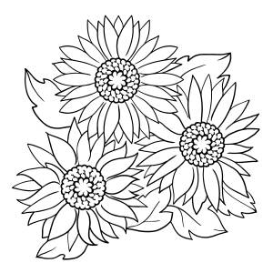 Раскраски Цветы для детей