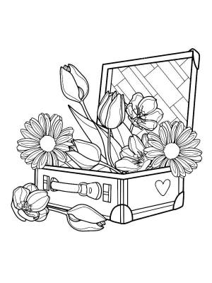 Раскраски Герберы