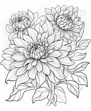 Цветы раскраска