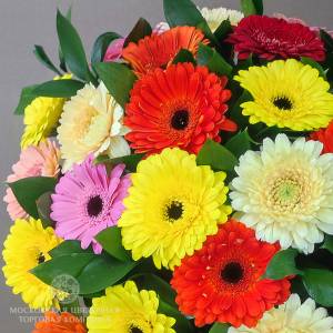 Букет из 31 герберы Раскраска