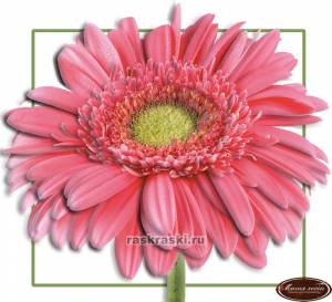 МРТ0006 объемная картина в технике папертоль «Гербера», часть 2