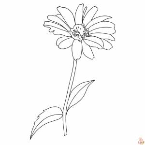 Привлекательные герберы Раскраски для печати, бесплатные, простые дизайны