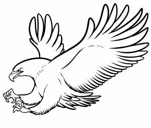 Хищный орел